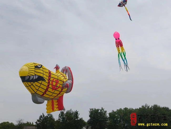 山东省首届风筝公开赛在台儿庄区圆满落幕（图）