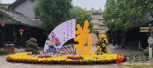 金秋台儿庄古城：菊香伴水乡，相逢暖宾朋（图）