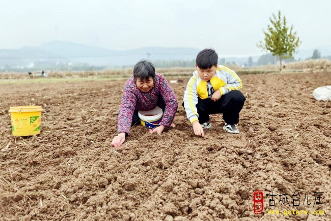 敬老孝亲 温暖重阳丨张山子镇侯孟小学开展重阳节主题系列活动（图）