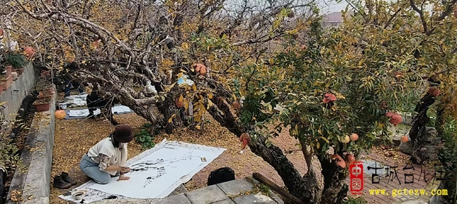 冠世榴园写生遇萌猫：褚福波11.14石榴创作添趣（图）