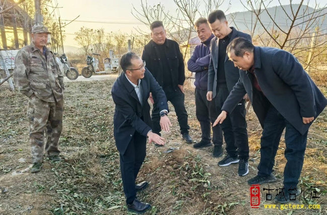 亳州专家莅临台儿庄区指导林下经济 桃芍间种模式获肯定（图）