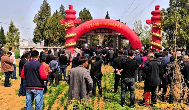 台儿庄马兰黄氏家族墓园：兴衰更迭间的宗族根脉（图）
