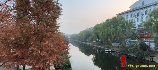 台儿庄：菊绽家园添诗意 河焕新颜启新程 宜居宜业宜游画卷徐徐展开（图）