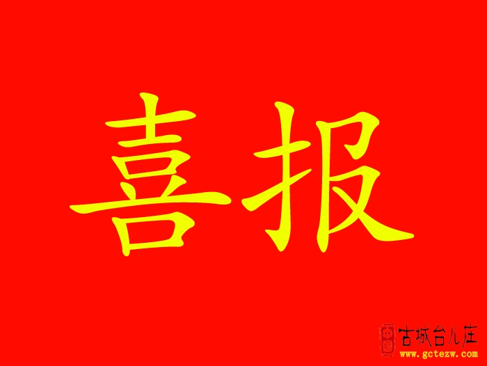 台儿庄区审计局审计模型获评全省优秀分析模型 全市唯一