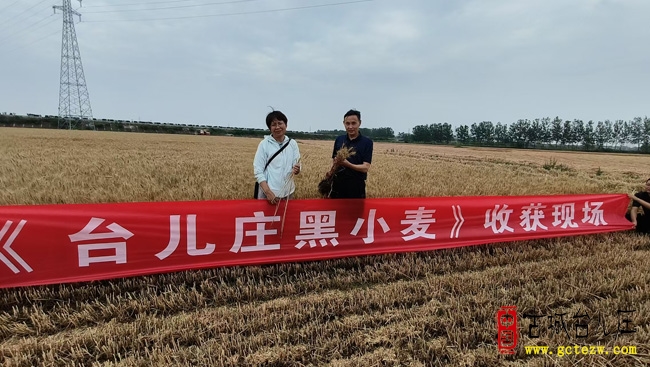 台儿庄新农人王永军亮相农业农村部专题栏目，黑小麦推广故事获全国关注（图） 刘同林摄影:12月11日，山东台儿庄农业带头人王永军受邀赴北京，参与农业农村部大型专题访谈栏目录制，以黑小麦推广领域的创新实践与突出成果，作为农业先进人物代表分享经验，其事迹引发全国农业领域广泛关注。 深耕田间多年，王永军始终聚焦黑小麦产业化：一边牵头破解品种优化、高产栽培等技术难题，夯实种植基础；一边创新搭建“种植基地+合作社+市场对接”模式，打通从田间到餐桌的全产业链。这一实践不仅让当地农户实现稳定增收，更让兼具营养与经