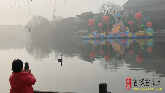 【同林摄影】台儿庄古运河现晨雾美景 黑天鹅与野鸭同框嬉水