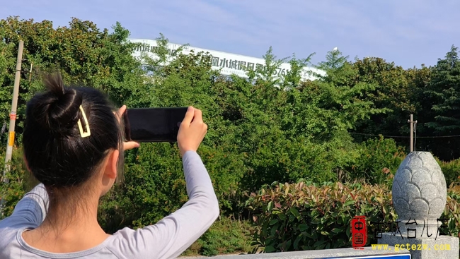小白鹭翩跹凤凰水城 生态台儿庄展魅力新姿（图）