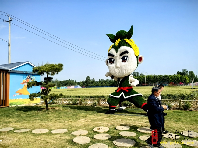 【精彩瞬间】台儿庄文化采风团走进泥沟镇随拍