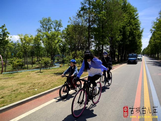台儿庄：骑行小季河绿道与自然共生的绿色诗篇（图）