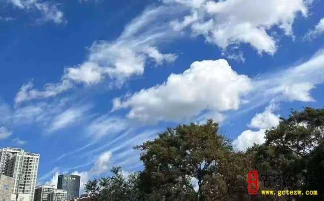 【专报】未来一周台儿庄天气