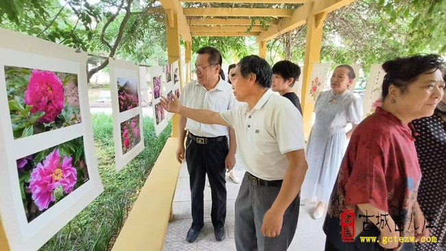 牡丹雅韵绘水乡艺术盛宴迎遗产日丨台儿庄艺术家刘同林牡丹摄影绘画展启幕（图）