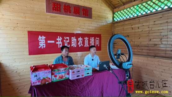 张山子镇：省派第一书记卖桃忙 助农销售促振兴（图）