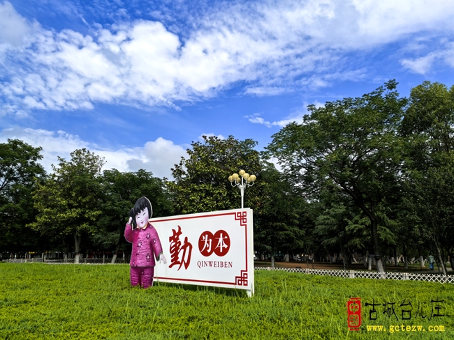 【影报】雨后光明广场的清新画卷（三）