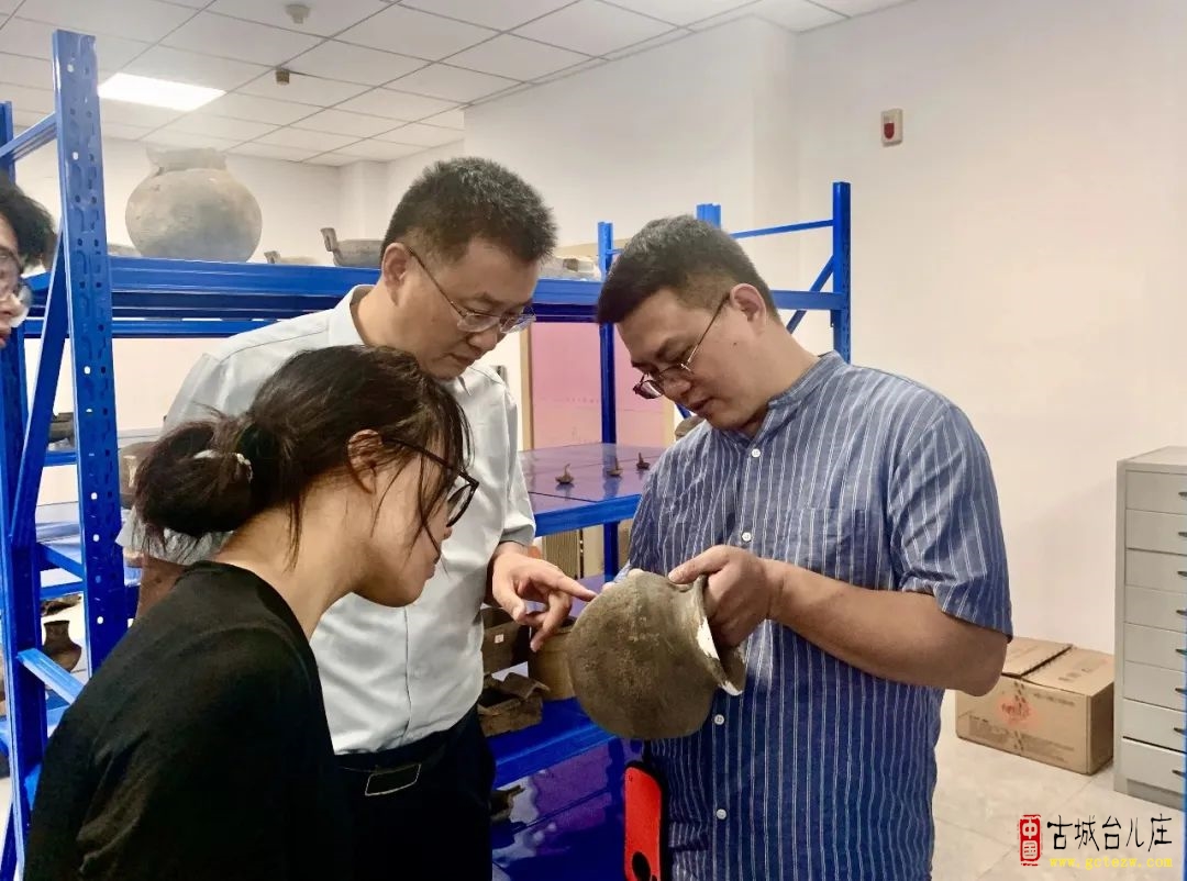山东大学团队对偪阳故城开展考古资料整理和历史价值挖掘阐释研究工作（图）