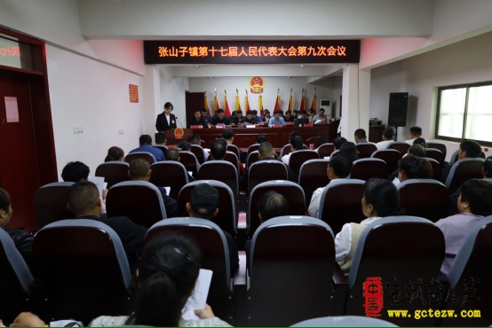 台儿庄区张山子镇胜利召开第十七届人民代表大会第九次会议（图）