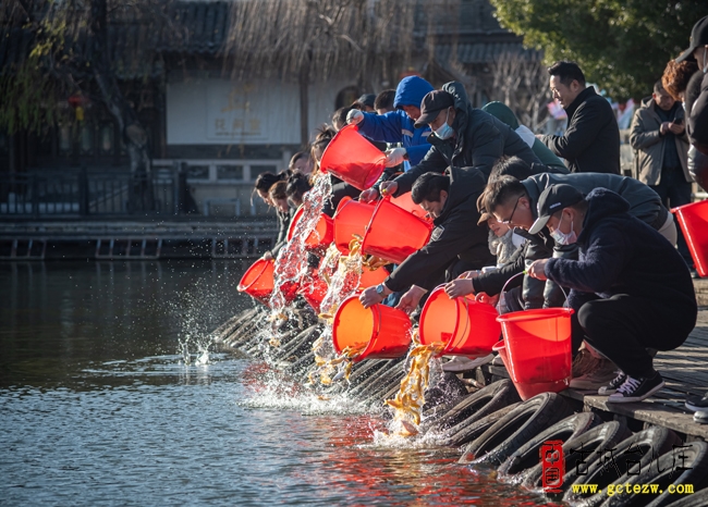 以鱼护水，以水焕城”丨台儿庄古城举办运河鱼苗放流活动（图）