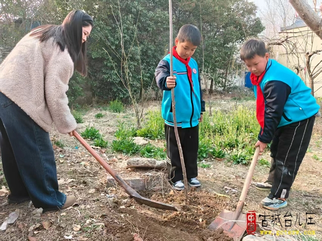 植绿护绿践初心 春风送暖育新苗丨台儿庄明远实验小学插花校区开展植树节主题实践活动（图）