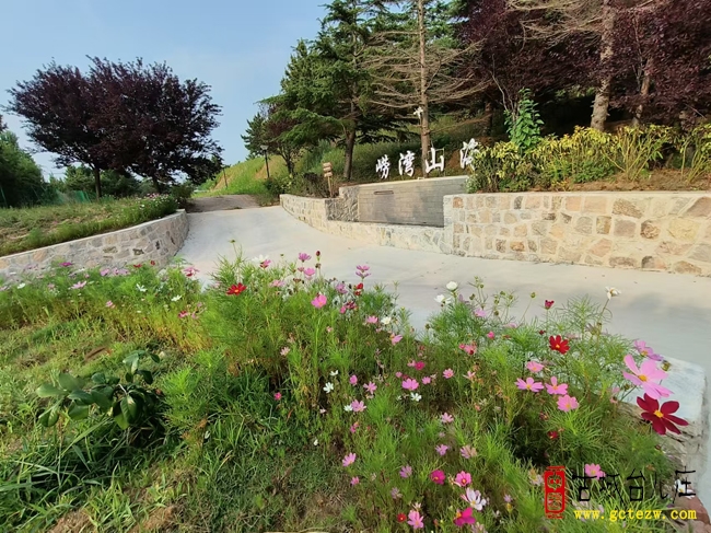 北纬36度山海秘境丨崂湾山海打造都市疗愈度假新栖息地（图）