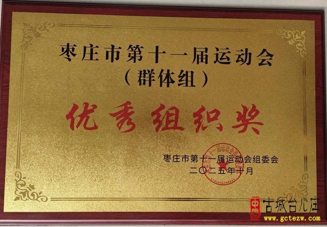 贺！台儿庄区在全市第十一届运动会荣获佳绩
