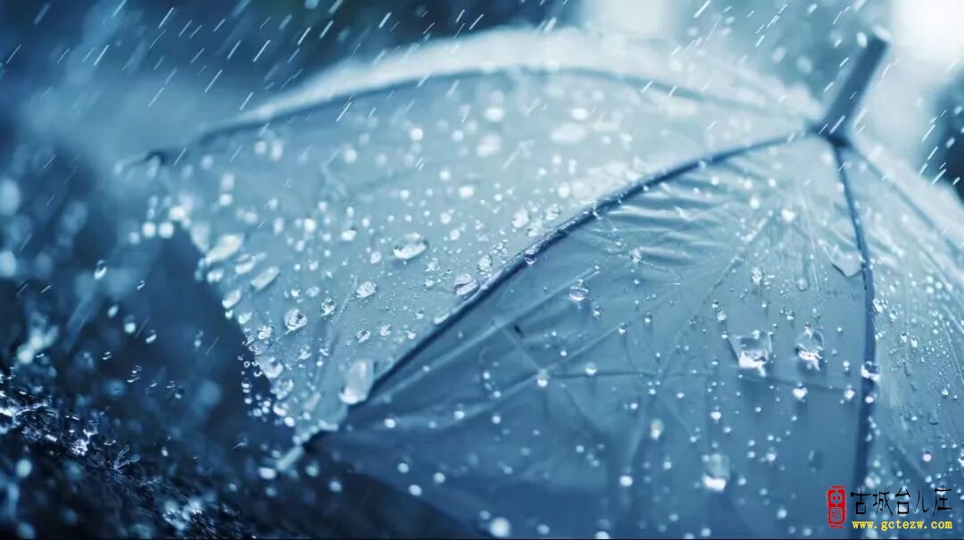 台儿庄雨情快报（2025年10月15日）