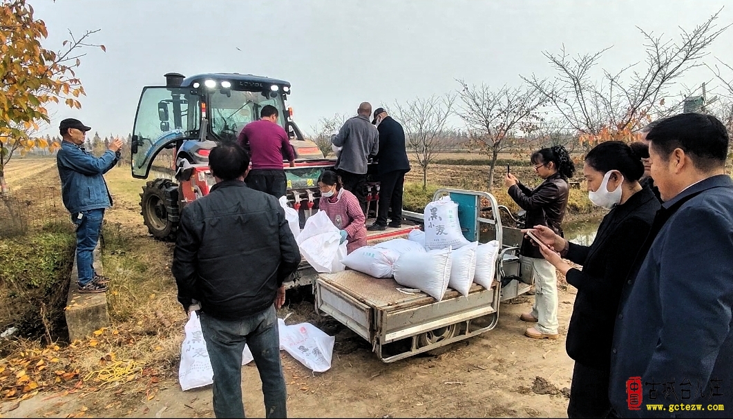 科技赋能黑麦飘香丨台儿庄采风见证乡村振兴新实践（图）