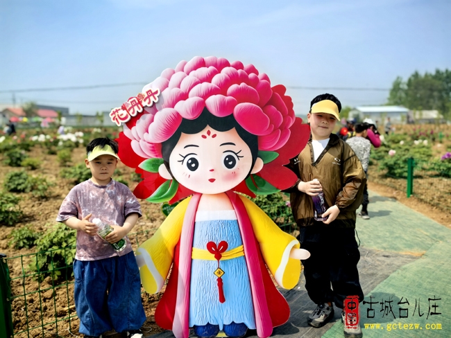 【影报】马兰屯镇西刘庄牡丹璀璨绽放（全年开放）