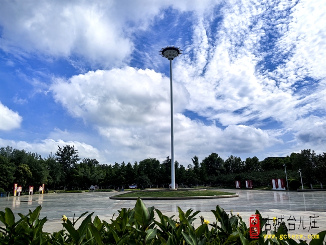【影报】雨后光明广场的清新画卷（二）