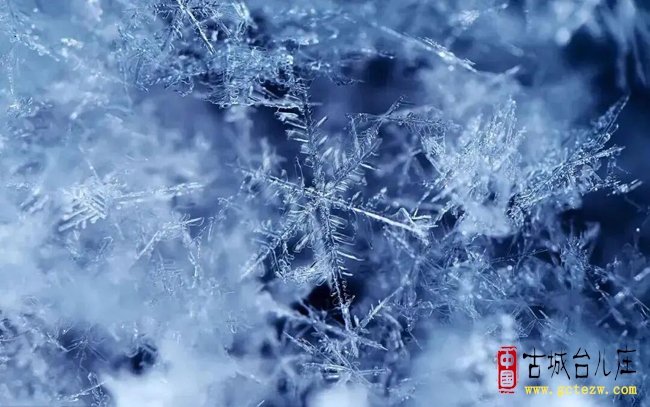 -12℃！大到暴雪！台儿庄区即将迎来寒潮、雨雪降温天气