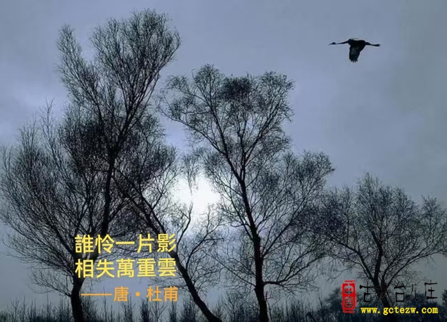 《懐 秋》作者:陶然