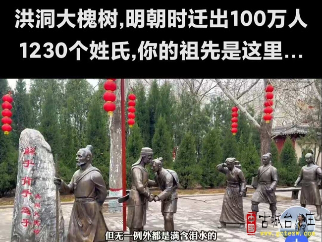 《洪洞大槐树》作者：单立强