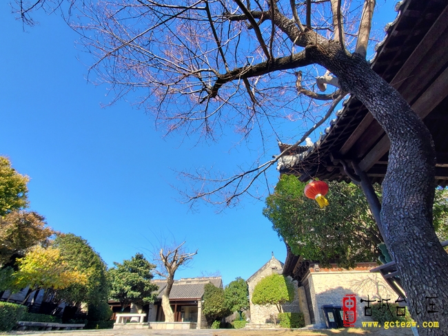 《沁园春.雪》作者：苗启法