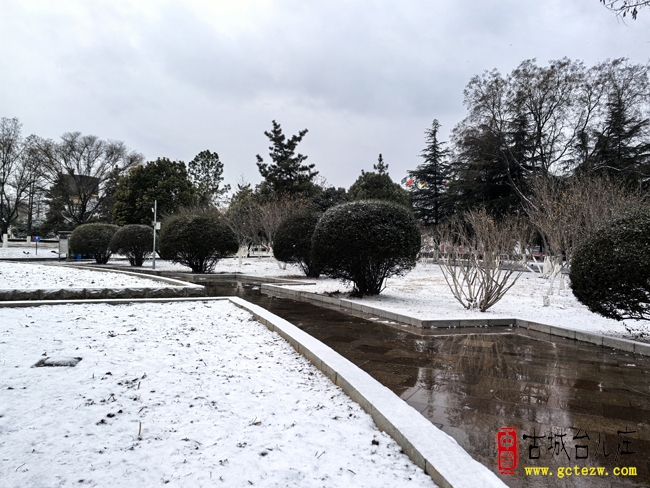 《雪》作者：苗启法