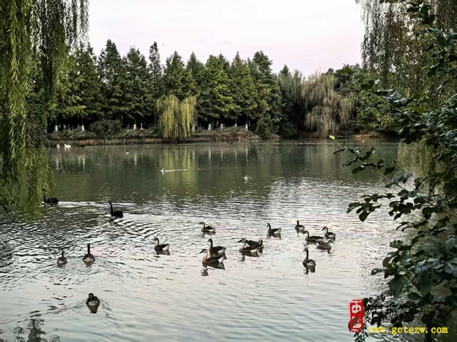 《双龙湖观感》作者：张法远