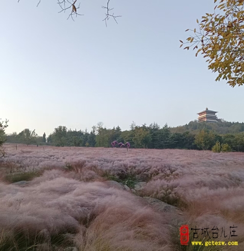 张法远：粉黛园