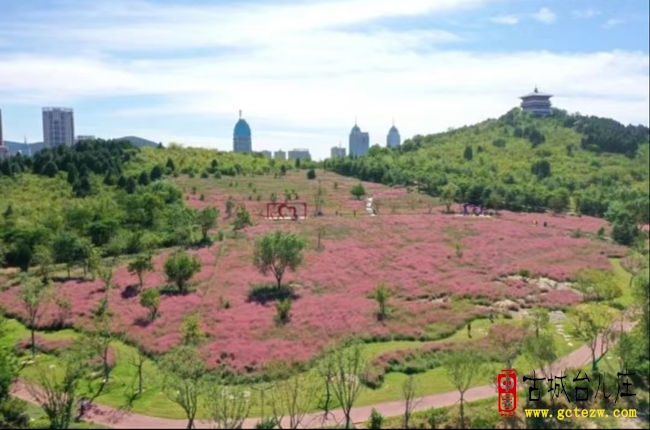 张法远：龟山如画