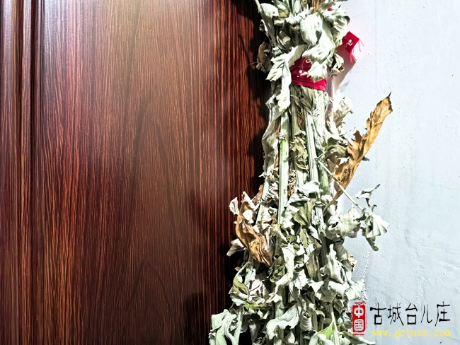 杨成骏：见艾思屈原