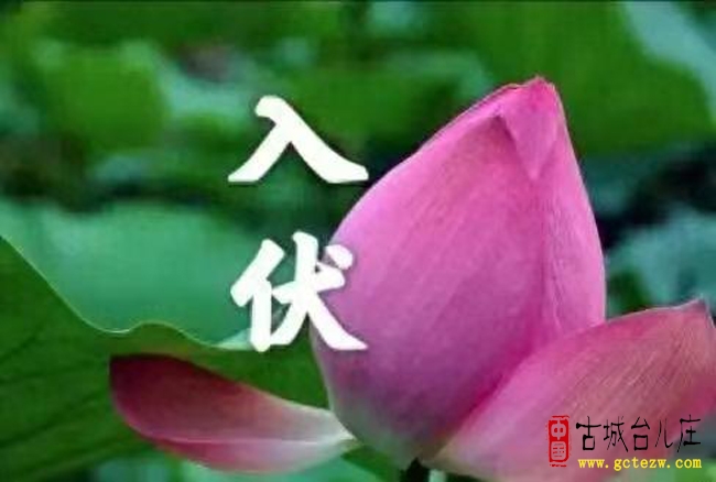 徐福堂：入伏十大雅事