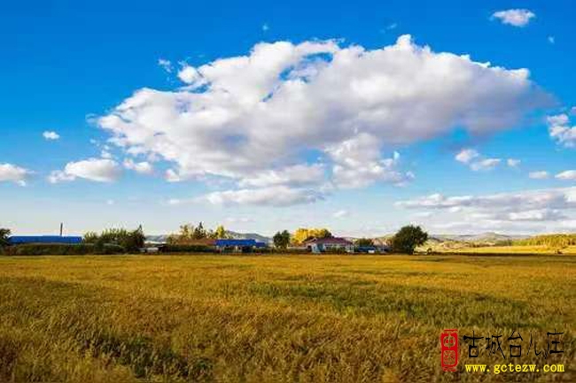徐福堂：初秋八美