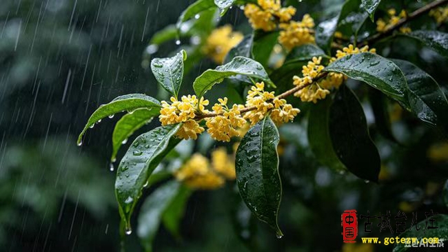 徐福堂：中秋遇雨